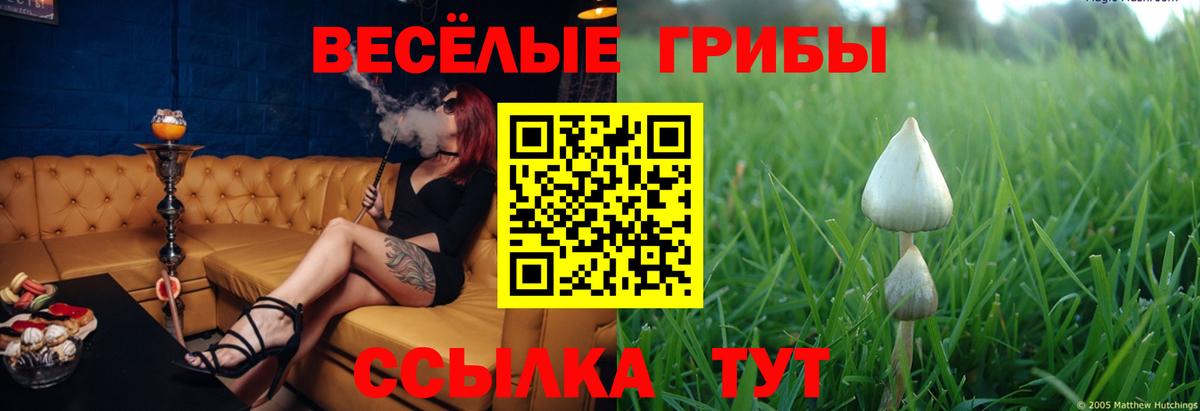 Псилоцибиновые грибы Magic Shrooms Боровичи