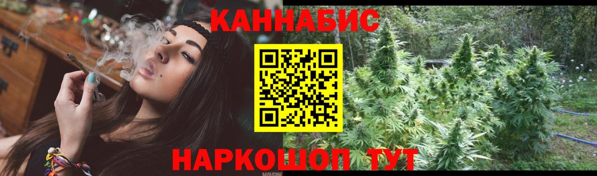 Конопля MAZAR Боровичи